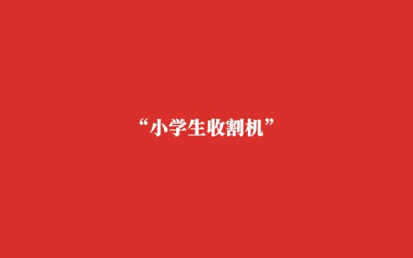 深富策略 被指“类博彩”, 赚小孩儿钱的卡游一年营收超100亿