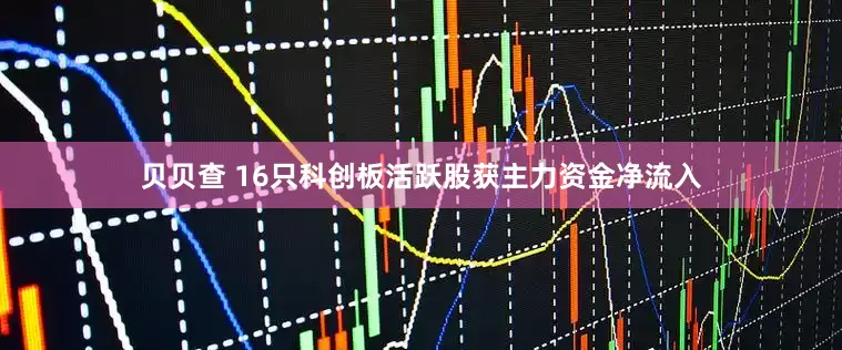 贝贝查 16只科创板活跃股获主力资金净流入