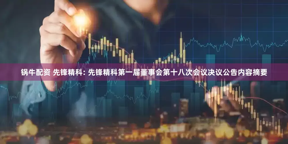 锅牛配资 先锋精科: 先锋精科第一届董事会第十八次会议决议公告内容摘要